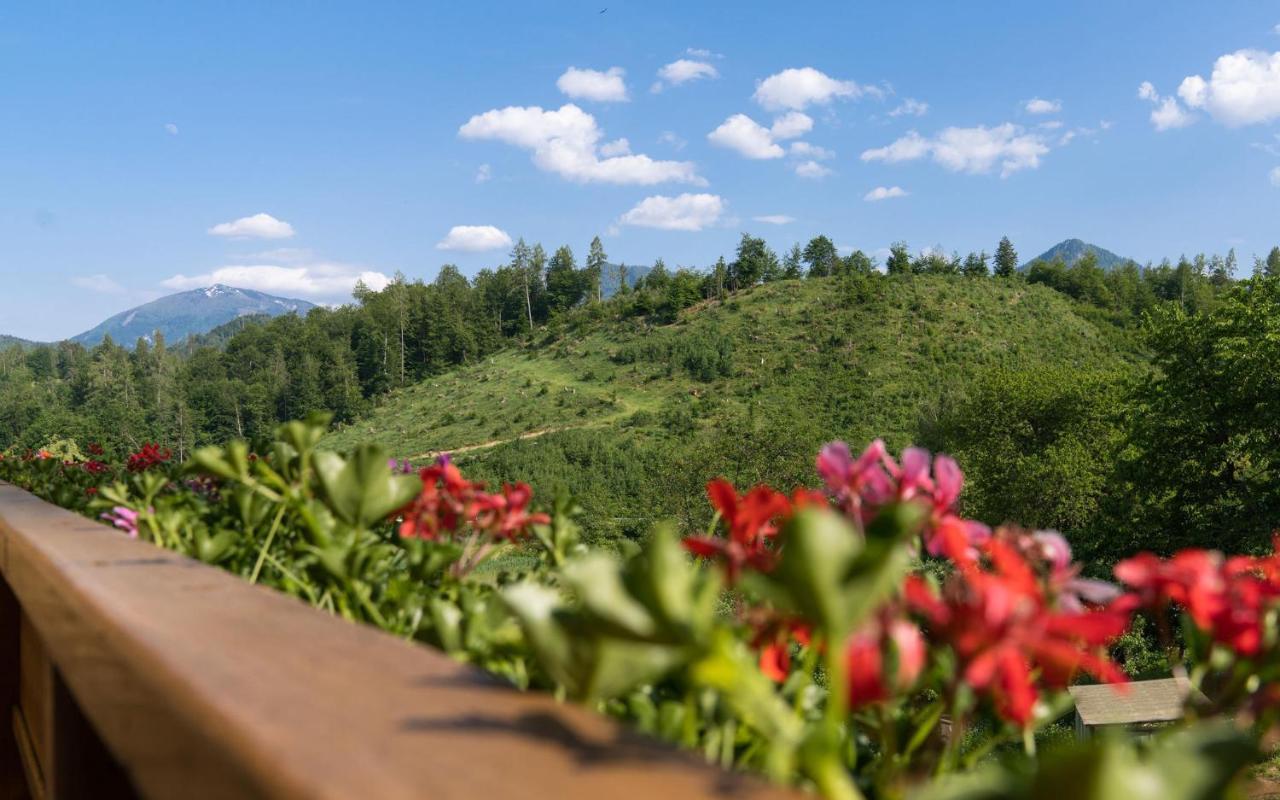 B&B Goesselsdorfer Seeblick Sittersdorf Exteriör bild